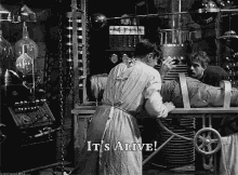 IMG_20240719_192218.gif