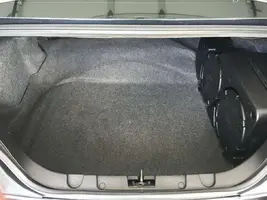 trunk.webp