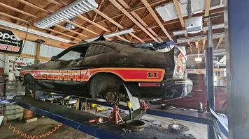 Sherrys 78 Mustang.webp