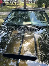 Car Show.webp