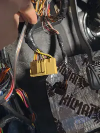 1727022111353443940060819406291.webp