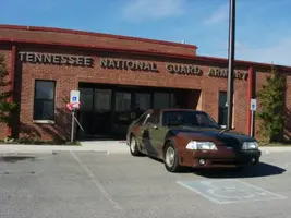 camo stang.webp