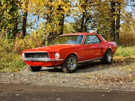 20240928_155848.webp