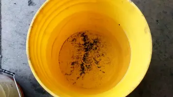 IMG_20170708_145053.webp