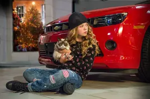 GrumpyCatFull.webp