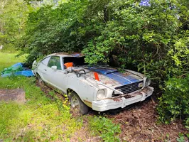 IMG_20240817_100525838_AE.webp