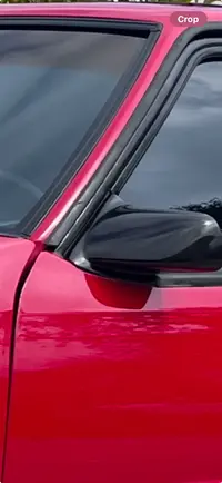Fox Side Mirror.webp
