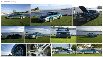 1737669705859.webp