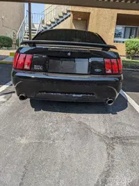 mustang butt pic.webp