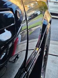 Mustangdrdoor5.webp