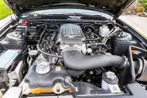 2007_ford_mustang-gt-coupe_2007_ford_mustang-gt-coupe_e7e88e84-96fa-40fa-a164-fe06945a5932-rr...webp