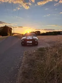 20220806_203338 (480x640).webp
