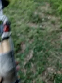IMG_20250404_192904494_HDR.webp