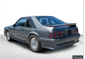Mustang 4.webp