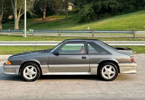 Mustang_2.webp