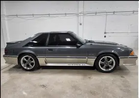 Mustang_5.webp