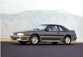 Mustang_7.webp