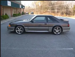 Mustang_8.webp