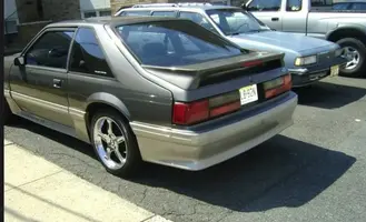 Mustang_9.webp