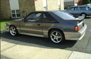 Mustang_10.webp