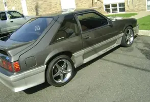 Mustang_11.webp