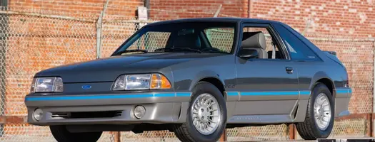 Mustang_3.webp