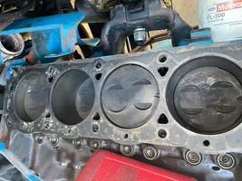 ZkKS0AGGToGzRjkaDcArjg.webp