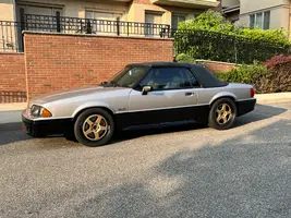 IMG_9047.webp