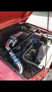 stang17.webp