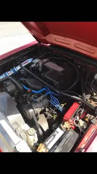 stang16.webp
