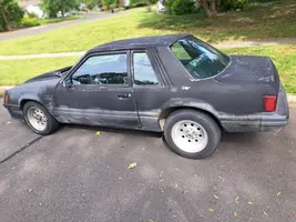 555793518_10230942457128033_375122256948848200_n.webp