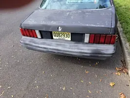 556440247_10230942458448066_4959842728514062766_n.webp