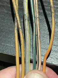 Wires.webp