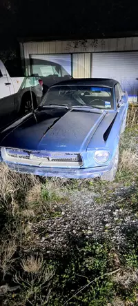 20231123_180539.webp