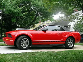 Mustang Sharp100.webp