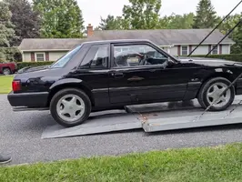 fox off truck.webp