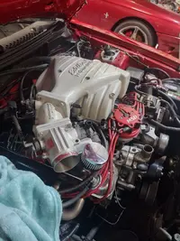 IMG_20260109_171002394_HDR.webp