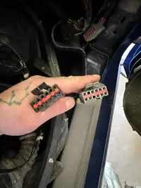 IMG_2438.webp