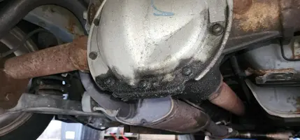 2004-mustang-3-8l-v6-differential-leaks-v0-z2sxtt87papg1.webp