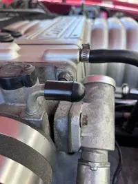 Fox Vacuum Plug 1.webp
