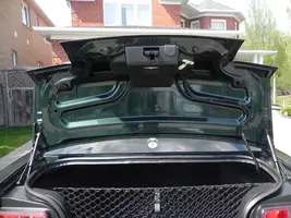 Trunk 2.webp