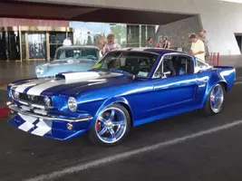 FB_IMG_1638644885315.webp