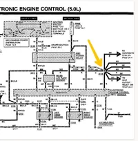 d33742cb-ec89-41d3-bf68-2d5c32dc9d95.webp