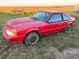 Mustang 21.webp