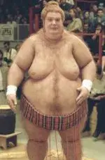 fat_bastard.webp