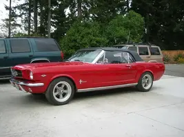 mustang.webp