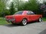 Mustang_may 001small.webp