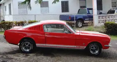 mustang 001.webp