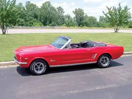 Mustang.webp