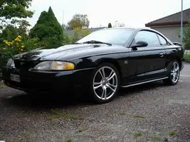 mustang.webp